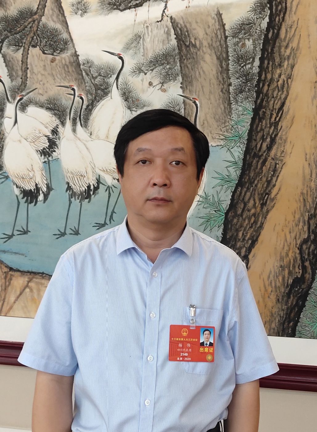 2.全國人大代表、中國科學院院士、航空工業(yè)副總經理楊偉
